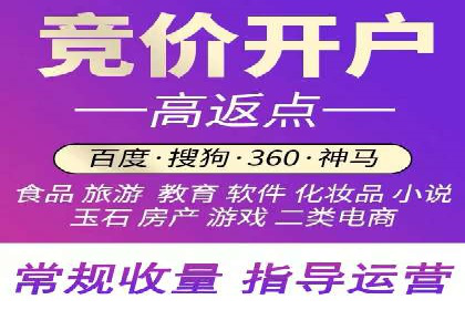 SEM服务公司经典案例集锦